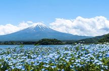 Mount Fuji Day Trip Around Lake Kawaguchiko