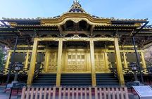 Ueno and Yanaka Culture Art Walking Tour in Old Tokyo