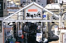 Walking Tour in Yanaka Nezu and Sendagi: Tea Ceremony & Old Tokyo