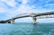 Scenic Wine and Cheese Auckland Harbour Cruise