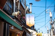 Walking Tour in Yanaka Nezu and Sendagi: Tea Ceremony & Old Tokyo