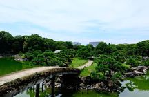 Tokyo Tour Imperial Palace, Sake, Robots, Gardens and Edo Museum