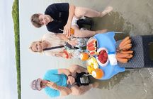 Negombo Lagoon Boat Safari Hotel Pickup(Monkey,Mangrove)