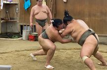 Tokyo Sumo Morning Practice with Guide – Ringside Live Training