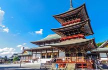Discover Historic Narita and Sawara : Gateway to Japan’s Past