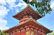 Discover Historic Narita and Sawara : Gateway to Japan’s Past