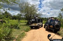 Minneriya National Park Elephant Safari Tour