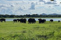 Private Minneriya Elephant Jeep Safari Tour Sigiriya & Habarana