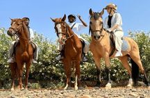 Horseback Riding Adventure in Palmeraie Grove 2 hours -Marrakech