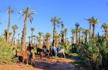 Horseback Riding Adventure in Palmeraie Grove 2 hours -Marrakech