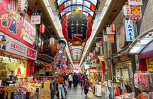 Full Day Walking Tour in Osaka Castle Temples and Ukiyoe