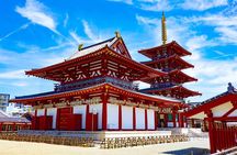 Full Day Walking Tour in Osaka Castle Temples and Ukiyoe