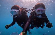 Boat entry diving at the Blue Cave in Onna Village, Okinawa!
