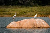 Gal Oya National Park Safari - Boat Adventure from Arugam Bay
