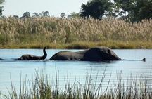 Gal Oya National Park Safari - Boat Adventure from Arugam Bay