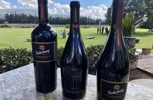 Paarl, Franschhoek and Stellenbosch Vineyards Wine Tour