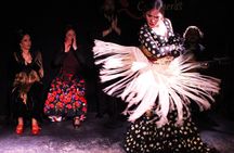 Malaga Gastronomic and Cultural Tour: Tapas, Wine & Flamenco