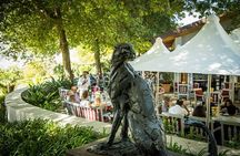 Full Day Stellenbosch Wine Tour with Tastings