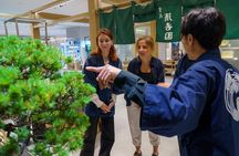 Tokyo: Bonsai Making Experience with Bonsai Master