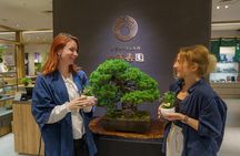 Tokyo: Bonsai Making Experience with Bonsai Master