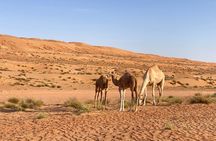 Experience 2 Day Guided Camping Resort Overnight in Wahiba Desert
