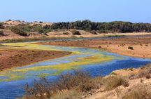 Agadir Souss Massa national park with mini Sahara Half Day Trip