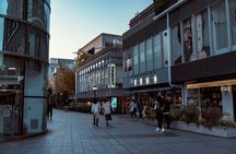 Tokyo Harajuku Walking Tour Meiji Jingu Yoyogi Park and More