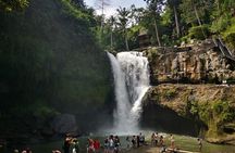 Bali Sunrise Horse Riding and Tour