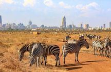 Half Day Guided Tour in Nairobi National Park with 4x4 Vehicle