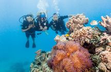 7 Day Brisbane to Cairns Boutique Whitsundays Great Barrier Reef