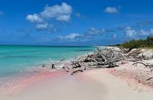 Custom Private Tour of Antigua Explore at Your Own Pace