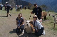 1 Day Machupicchu Round Trip
