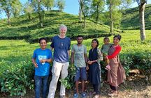 Sreemangal Tea Tour Experience Nature and Culture in a Local way