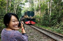 Sreemangal Tea Tour Experience Nature and Culture in a Local way