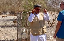 4 Days Experience Oman Nature and Culture with an Omani Guide-4WD