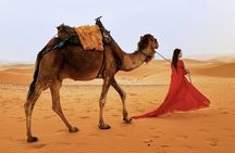 3-Day Desert Tour Marrakech to Merzouga : Camel Trek & Stargazing