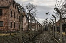 Krakow: Auschwitz Birkenau Memorial Private Tour (Hotel Pickup)