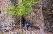 Rock Painting Cerro Benitez: Hike to Ancient Art
