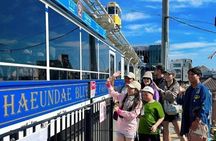 Private Busan Shore Excursion: City Highlights for Cruise Guests