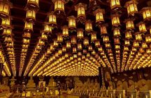 Miyajima & Iwakuni: Exploring the Most Iconic Japanese Landscapes