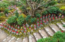 Miyajima & Iwakuni: Exploring the Most Iconic Japanese Landscapes