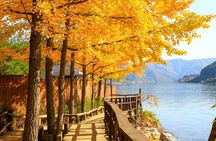 Day Trip to Nami Island with Rail bike and The Garden of Morning Calm