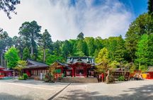 Hakone Private Tour Customize Your Journey in 3 4 6 Hours
