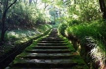 Hakone Private Tour Customize Your Journey in 3 4 6 Hours