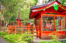 Hakone Private Tour Customize Your Journey in 3 4 6 Hours