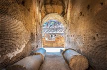 Rome: Colosseum Arena Tour with Forum and Palatine Access
