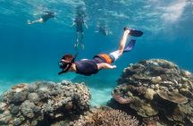 Snorkeling activity with Boat ride from Montego Bay