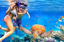 Snorkeling activity with Boat ride from Montego Bay