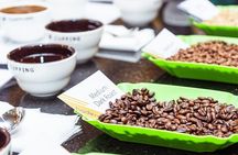 Addis Ababa Coffee Tour Bean to Cup Experience