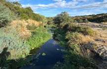 Trekking Culture and Flavors Discover the Saracen Village